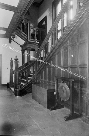 MALLOW CASTLE STAIRS